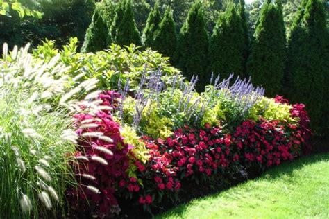 Shrubs are an excellent way to change the purpose of a garden or to ...