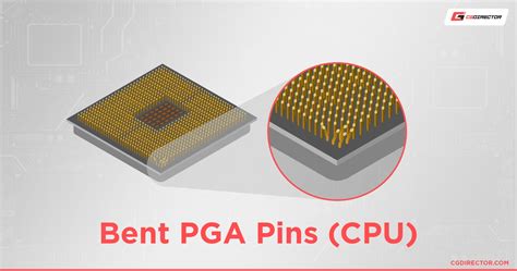 Amd Cpu Pins | Hot Sex Picture