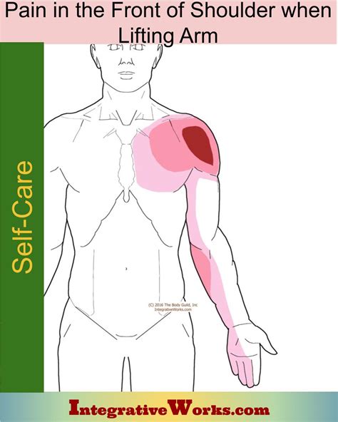 Self Care - Pain in the Front of Shoulder When Lifting Arm ...