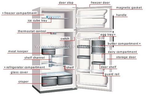 Parts of A Refrigerator & How it Works