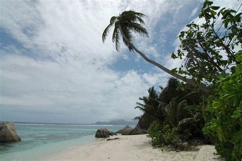 Petite Anse (Seychelles) - 2020 All You Need to Know BEFORE You Go ...