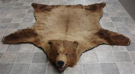 Real Coastal Kodiak Bear Rug - Moose-R-Us.Com Log Cabin Decor