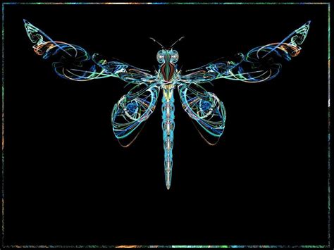 fractal dragonfly | fractal manipulation fractals rendered in apophysis ...