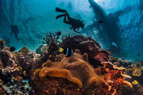 17 Influential Underwater Photographers To Follow In 2023 ...