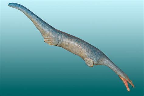 Mesozoic Era Animals List: Animals That Lived In The Mesozoic Era