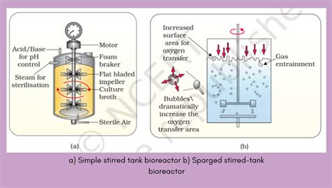 Types of Bioreactors - My Biology Dictionary