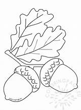 Autumn coloring page Acorns With Leaves  Coloring Page sketch template