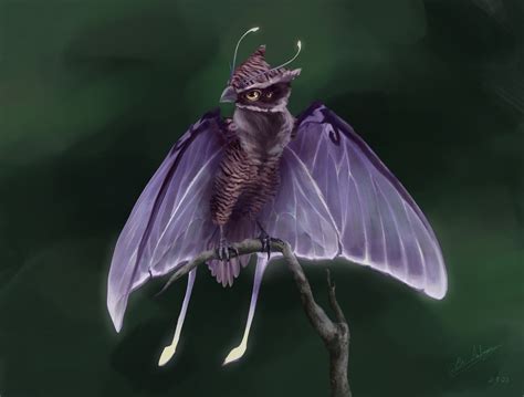 ArtStation - Moth Owl Creature Concept