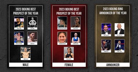 BOXING AWARDS OF 2023 - 024Boxing