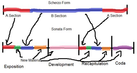 How should I structure my Piano Sonata in D? - Composers' Headquarters