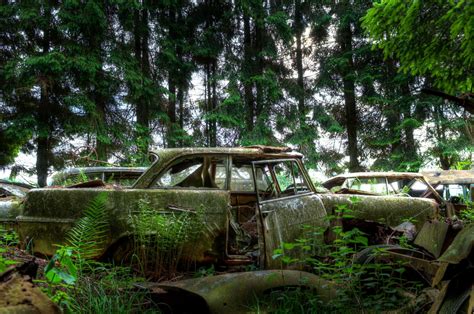 Forest Full of Abandoned Cars Photos | Image #11 - ABC News