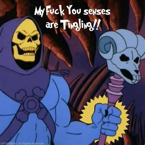 Pin by Tina D on A Bit Of Craic 18+ (Humour) | Skeletor quotes, Crazy ...