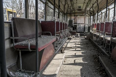 Abandoned School Bus Tram Bus Interior with Leaves Branches Vegetation ...