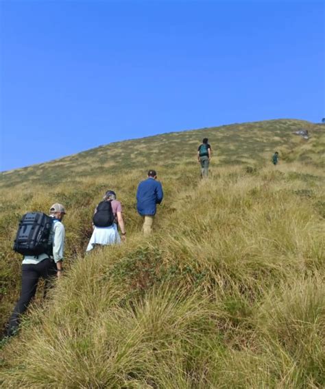 Munnar Jeep Safari | Jeep Safari in Munnar | Off Road Safari Munnar | Munnar off-road adventure ...