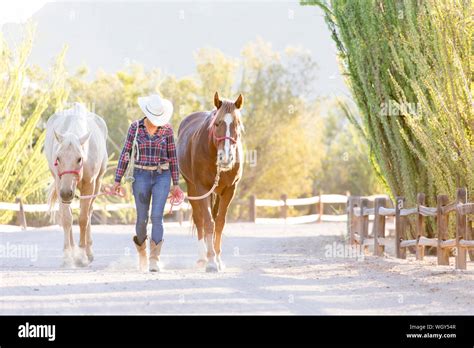 White Stallion Ranch, Tucson, Arizona Stock Photo - Alamy