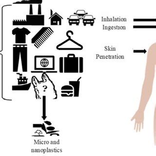 Sources and human exposure pathways to micro (nano) plastics... | Download Scientific Diagram