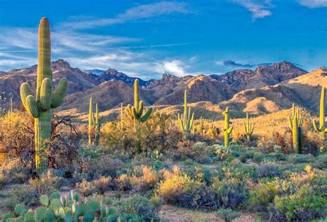 Best Desert Trips & U.S. National Parks of the American Southwest