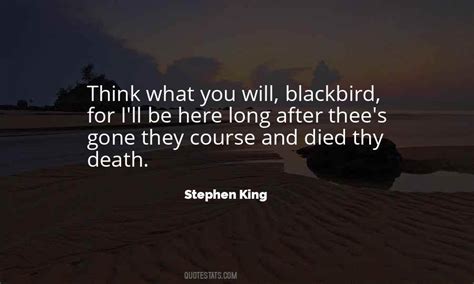 Top 45 Blackbird Quotes: Famous Quotes & Sayings About Blackbird