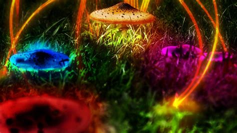 Psychedelic Mushroom Wallpapers - Top Free Psychedelic Mushroom ...