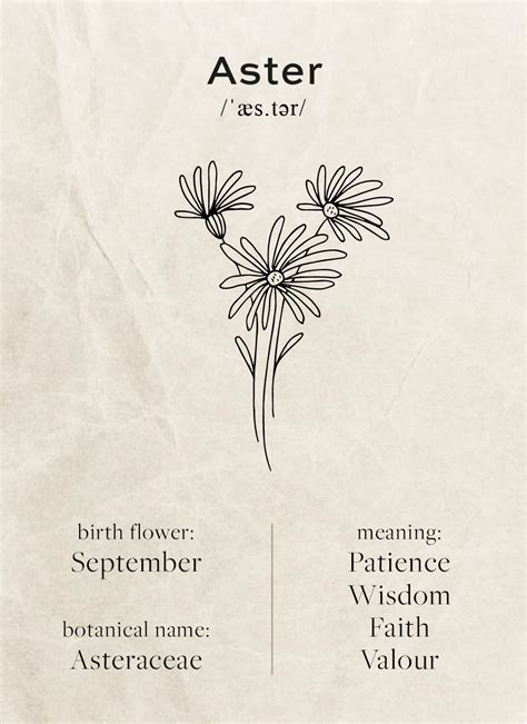 September Birth Month Flower SVG Birthday Flower PNG Hand | lupon.gov.ph