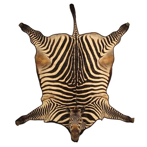 Extraordinary Vintage Zebra Skin Rug | Zebra skin rug, Animal print furniture, Zebra