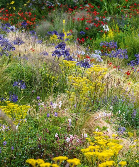 Dry gardens explained - 10 expert tips for a lush landscape | Livingetc