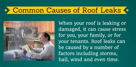 Common Causes of Roof Leaks by Transition Roofing - Shit Hot Infographics