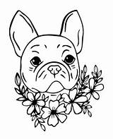 Bulldog Coloring Book 50 Beautiful & Cute English And French sketch template