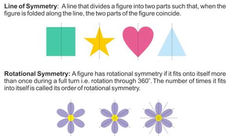 What Shape has only One Line of Symmetry - CBSE Library