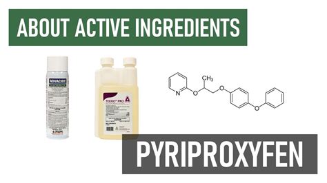 What is Pyriproxyfen? [Insect Growth Regulators] - YouTube