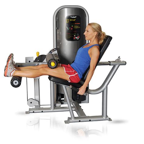 InFlite Seated Leg Ext. / Leg Curl Machine – The Fitness Store