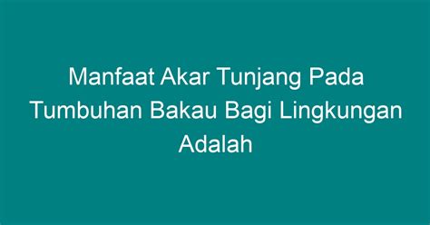 Manfaat Akar Tunjang Pada Tumbuhan Bakau Bagi Lingkungan Adalah - Geograf