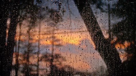 Rain drops on window wallpaper - Photography wallpapers - #38154