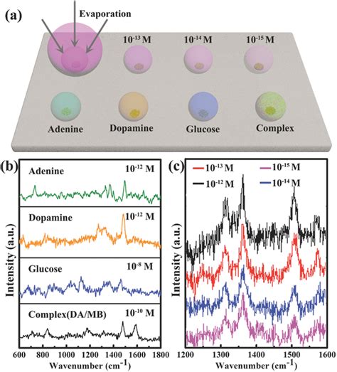 Integrated Raman detection of diverse analyte samples under different... | Download Scientific ...