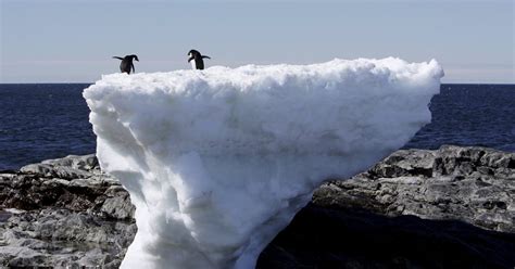 Antarctic Ice Melting 3X Faster Than Ten Years Ago - SnowBrains