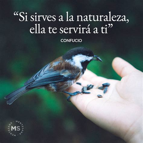 12 frases sobre naturaleza para conectarnos con ella