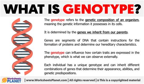 What is Genotype | Definition of Genotype