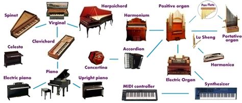 Musical Instruments Evolution