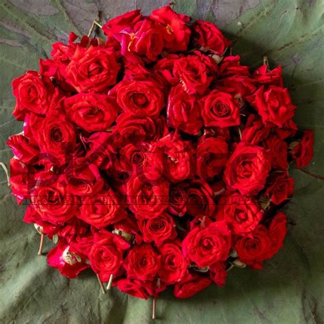 Plower Florist - Red Button Rose Online Flower Store Traditional Puja Flowers at Rs 30/piece ...