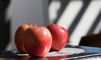 Harvest Festivals, Berkshires Autumn, Connecticut, Massachusetts ...