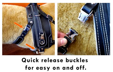 Balance Assistance Harness™ for service dogs - Bold Lead Designs