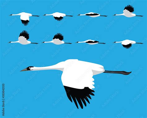 Bird Whooping Crane Flying Cartoon Vector Animation Frame Stock Vector ...