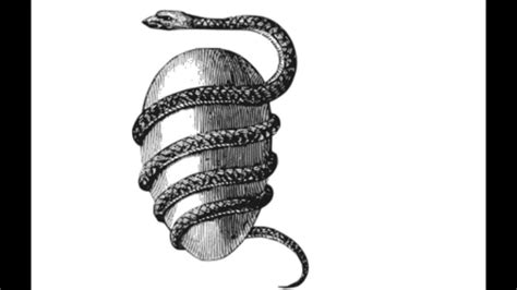 Symbolism: The snake's secret - YouTube