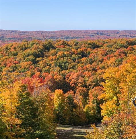 Best Spots for Fall Color | Traverse City, MI