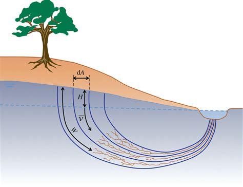 Conceptual sketch of an unconfined phreatic groundwater body draining ...