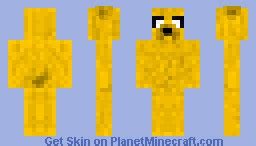 Jake the Dog Minecraft Skin