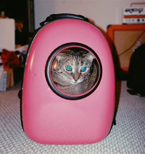 Bubble Backpack Cat Transporter