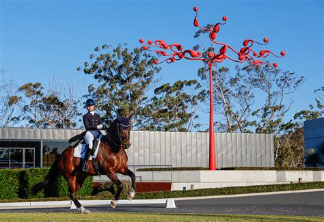 Olympic hopefuls hot to trot at Willinga Park's Dressage by the Sea | About Regional