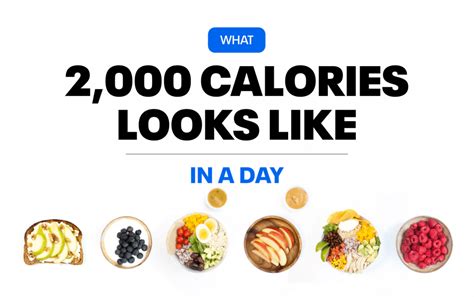 What 2,000 Calories Looks Like | Weight Loss | MyFitnessPal