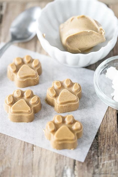 Peanut Butter Coconut Oil Dog Treats and New Years Tips for Pet Owners